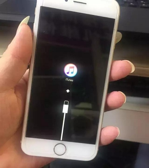 iPhone6刷机报错56维修案例