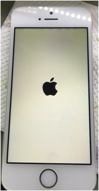 iPhone5S开机白苹果重启故障修复方法！